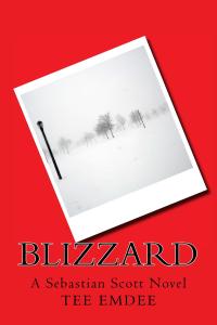 Blizzard_Cover_for_Kindle